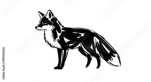 Black Fox Illustration Sketch Style.