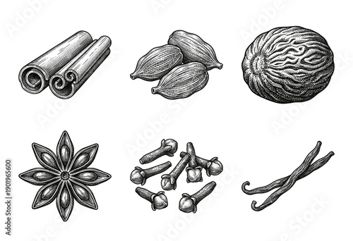 Collection of culinary spices and aromatics in a vintage hand-drawn engraving style including cinnamon, cardamom, nutmeg, star anise, cloves, and vanilla beans.