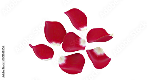 Scattered Red Rose Petals