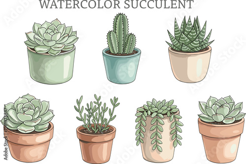 Watercolor succulent plants in ceramic pots collection isolated on white background botanical home decor vector illustration set