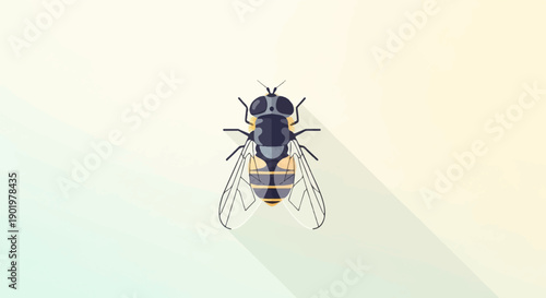 A stylized illustration of a single hoverfly with transparent wings against a soft gradient background