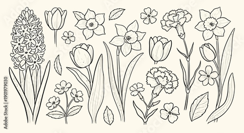 A collection of hand-drawn floral illustrations featuring various spring flowers like tulips, daffodils, hyacinths, and carnations, presented in a line art style.