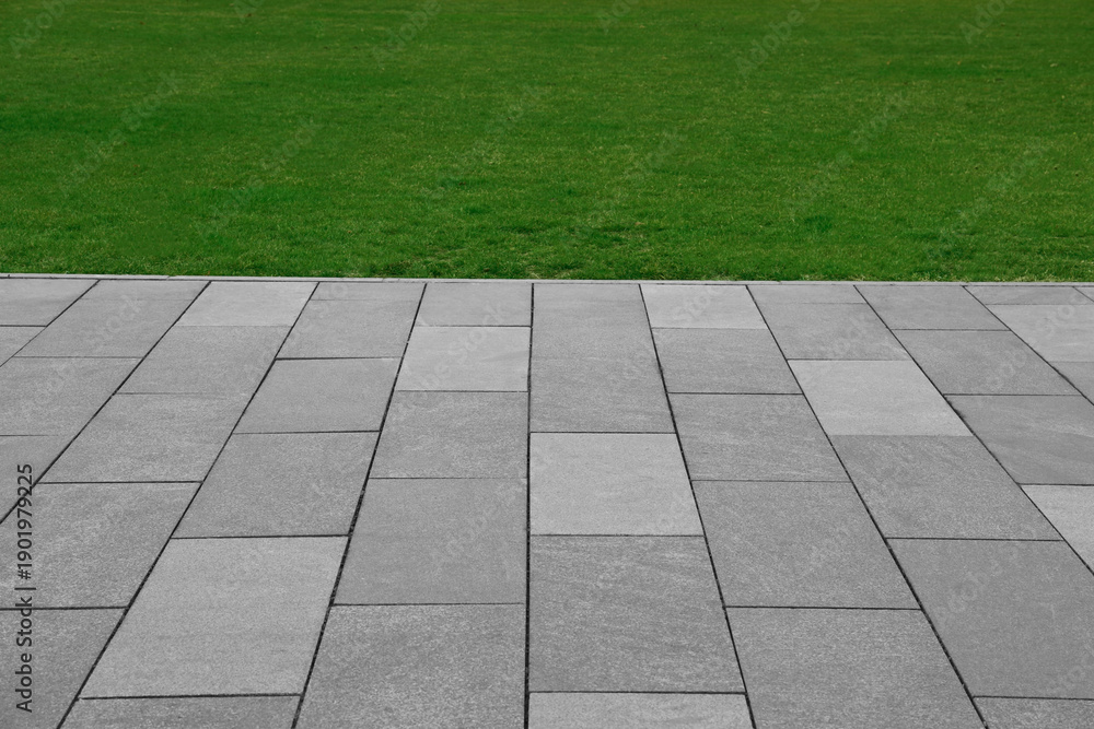 Fototapeta premium brick walkway with a green bush on the side Decorative shrubs and green ornamental plant beside with stone pavement floor, perspective side view with empty copy space