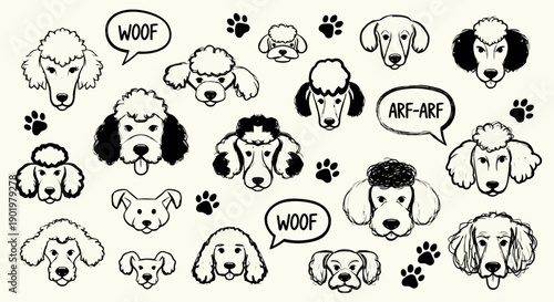 A charming collection of hand-drawn poodle faces and paw prints, showcasing various breeds and playful expressions.