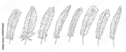 Feathers doodle ink set. Elegant quill illustration with detailed ink artwork. Vintage-inspired sketch featuring decorative plume design, perfect for tattoo art and creative graphic project.