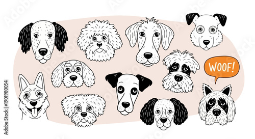 A charming collection of hand-drawn dog faces, each with unique expressions and breeds, set against a soft, peachy background.
