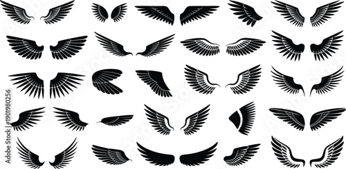 Large Set of Twenty Four Black Wing Silhouettes Featuring Various Feathered Styles From Angel and Bird Wings to Heraldic Eagle and Mythical Phoenix Wing Shapes