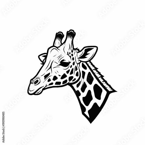 Black and white vector illustration of a giraffe's head and upper neck, featuring detailed spots and strong lines.
