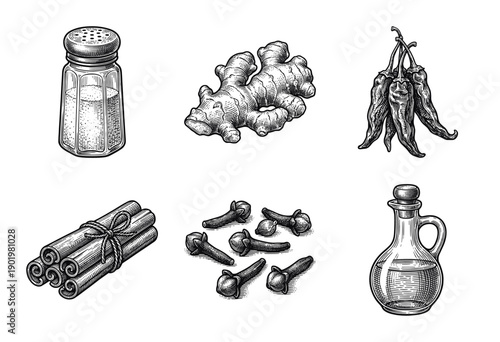 Vintage engraving style collection of spices and kitchen condiments including ginger, cinnamon sticks, chili peppers, cloves, salt shaker, and olive oil bottle.