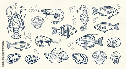 A charming collection of hand-drawn seafood illustrations, featuring a variety of fish, crustaceans, and shellfish in a whimsical style.