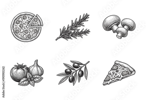 Vintage pizza and mediterranean ingredients collection featuring hand drawn engraving style illustrations of mushrooms olives garlic and rosemary
