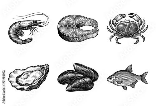 A collection of seafood and fish illustrations featuring a shrimp, salmon steak, crab, oyster, mussels, and a whole fish in a vintage woodcut engraving style.