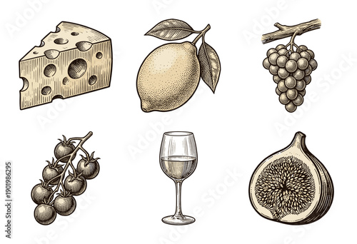Vintage engraving style food and beverage collection featuring cheese, citrus, grapes, tomatoes, wine glass, and fig in a hand-drawn woodcut aesthetic.