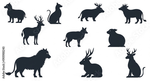 Photography Collection of Animal Silhouettes Vector Graphic.