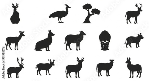 Collection of Animal Silhouettes Vector Icons.