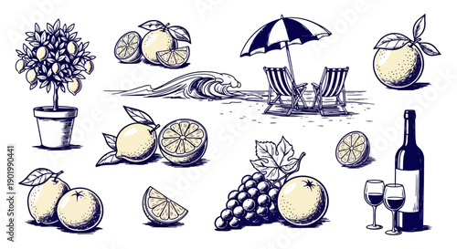 A collection of hand-drawn illustrations featuring citrus fruits, a potted lemon tree, grapes, a bottle of wine with glasses, and a beach scene with chairs and an umbrella.