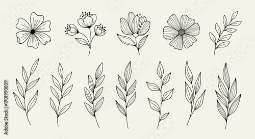 A collection of delicate line art illustrations of various flowers and leafy branches on a neutral background.