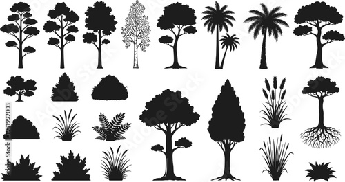 Black tree, palm and plant silhouette mega collection with forest, tropical and garden vegetation on white background, nature vector set