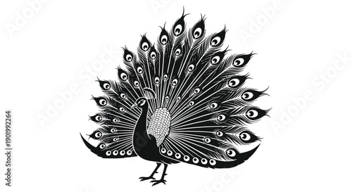An elegant black peacock displaying its ornate plumage in a detailed silhouette on transparent background high quality professional modern stylish clean