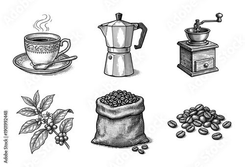 Vintage engraving style coffee collection featuring moka pot, manual grinder, cup, roasted beans in burlap sack, and botanical plant branch with berries.