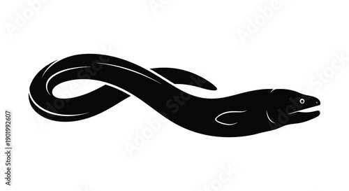 A sleek black moray eel illustration with a sinuous body ideal for designs on transparent background silhouette high quality professional detailed