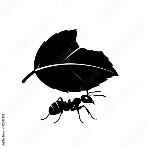 black silhouette of ant carrying leaf, vector illustration for logo or icon isolated on White Background