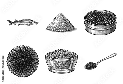 Set of monochrome caviar and sturgeon illustrations in a classic vintage woodcut engraving style including bowls, tins, and a spoon.