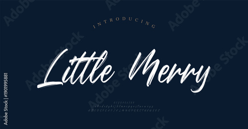 Little Merry, Script luxury wedding alphabet letters font with tails. Typography elegant classic serif fonts and number decorative vintage retro concept for logo branding. vector illustration
