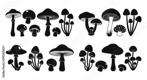 A collection of various mushroom shapes displayed in a black silhouette on transparent background high quality professional detailed modern elegant stylish