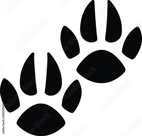 raccoon paw print silhouette vector icon illustration on transparent background