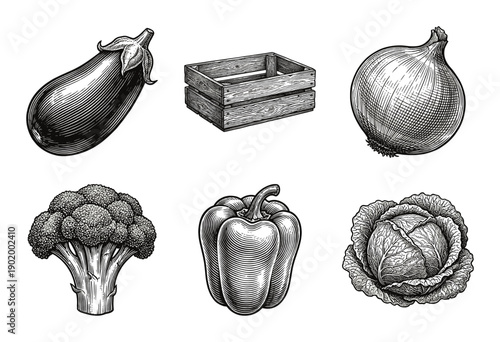 Vintage engraving collection of fresh garden vegetables including eggplant onion broccoli bell pepper and cabbage in a rustic wood crate