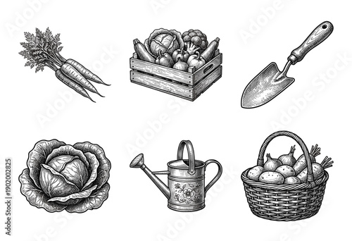Vintage engraving style collection of garden vegetables and harvesting tools featuring carrots cabbage watering can and trowel illustrations.