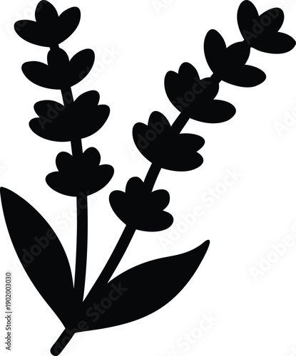 lavender flower spike silhouette vector icon illustration on transparent background