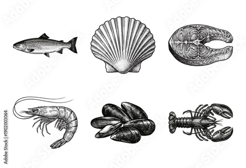Seafood collection featuring hand drawn engraving style illustrations of fish, shellfish, and crustaceans on a white background.
