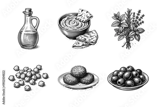 Set of hand drawn Mediterranean food illustrations in a vintage woodcut style featuring hummus, falafel, chickpeas, olives, olive oil, and fresh herbs.