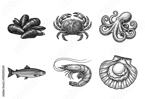 A collection of marine seafood illustrations including fish, octopus, crab, shrimp, and shellfish in a vintage woodcut engraving style.