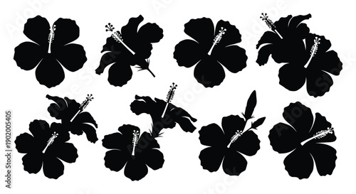 A collection of black hibiscus flower silhouettes arranged in a pattern on transparent background high quality professional detailed modern elegant stylish
