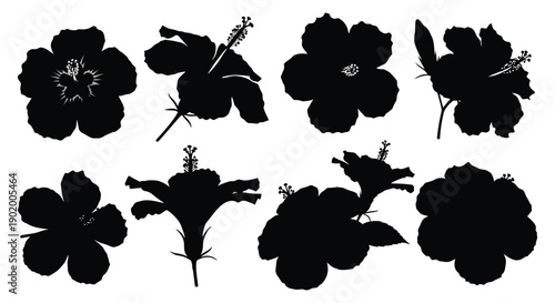 A collection of black hibiscus flower silhouettes displaying various angles and bloom stages on transparent background high quality professional detailed modern