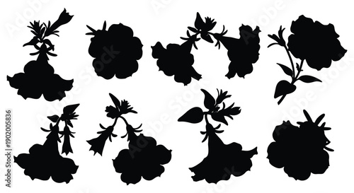 A collection of various flower silhouettes in black offering design flexibility on transparent background high quality professional detailed modern elegant stylish