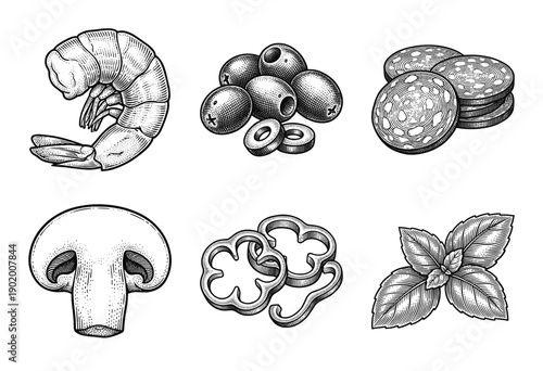 Collection of hand drawn pizza ingredients and food items in vintage woodcut engraving style including shrimp olives salami mushroom bell pepper and basil