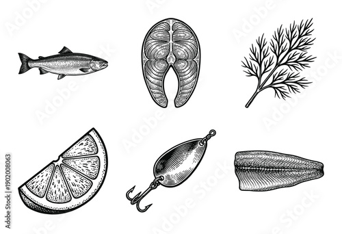 Salmon fishing and culinary illustration set featuring vintage woodcut style engraving of fish steak fillet dill lemon and lure