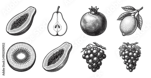 Collection of hand drawn fruit illustrations in vintage woodcut and engraving style featuring papaya pear pomegranate lemon kiwi and grapes.