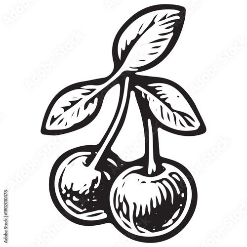 Vintage Cherry Fruit Branch Doodle Engraving Botanical Retro Kitchen Illustration Line Art