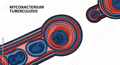Illustration of Mycobacterium tuberculosis bacteria with red and blue concentric circles on a white background.