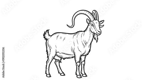 Deer  in vector with white background