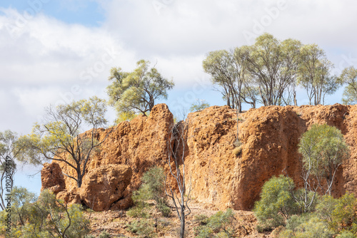 A pitted red rock formation formed by weathering and erosion, exhibits crevices and shallow caves, and there is a walking path surrounded by acacia trees at Baldy Top Lookout in Queensland, Australia.
