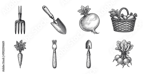 Set of hand drawn vintage garden tools and root vegetables in woodcut etching style featuring trowels hand fork and harvest basket.