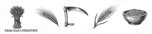 Vintage engraving illustration collection featuring wheat stalks, sheaves, a traditional harvesting scythe, and a bowl of organic cereal grains.