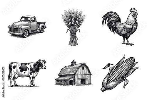 Vintage farm life illustration collection featuring hand drawn woodcut style icons of livestock, crops, agriculture machinery, and rural buildings.