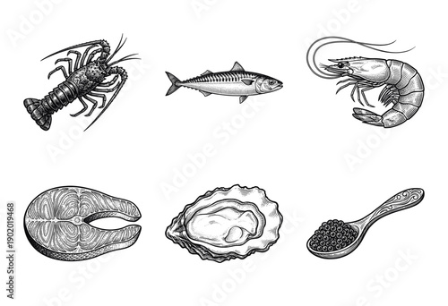 Vintage woodcut illustration collection of fresh seafood featuring lobster mackerel shrimp salmon steak oyster and caviar